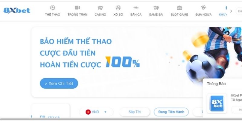 Tham gia và các link đăng ký chính chủ từ 8XBET